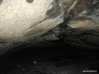 otta Petralia-17-03-2013 10-04-00